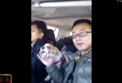 恶心的视频,网络暴力与道德沦丧的警示录