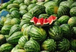 吃瓜最新事件爆料新沂