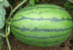 唐十八吃瓜全集爆料,揭秘娱乐圈幕后风云